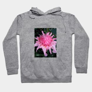 Pink Torch Ginger Hoodie